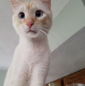 Meet your Posher, Sonja